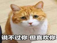 江苏智库贸易有限公司