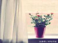 江苏智库贸易有限公司
