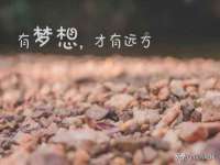 江苏智库贸易有限公司