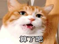 江苏智库贸易有限公司