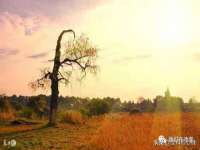 江苏智库贸易有限公司