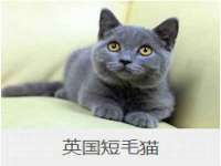 江苏智库贸易有限公司