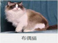 江苏智库贸易有限公司