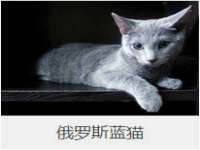江苏智库贸易有限公司