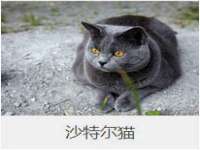 江苏智库贸易有限公司