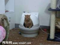 江苏智库贸易有限公司