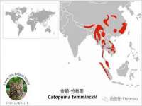江苏智库贸易有限公司