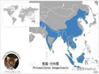 江苏智库贸易有限公司