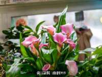 江苏智库贸易有限公司
