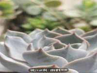 江苏智库贸易有限公司