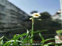 江苏智库贸易有限公司