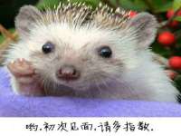 江苏智库贸易有限公司