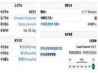 江苏智库贸易有限公司