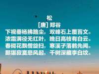 江苏智库贸易有限公司