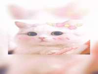 江苏智库贸易有限公司