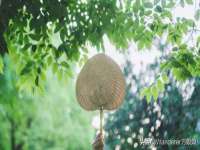 江苏智库贸易有限公司