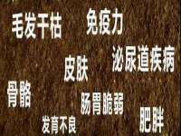 江苏智库贸易有限公司