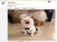江苏智库贸易有限公司