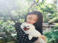 江苏智库贸易有限公司