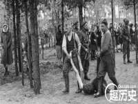 江苏智库贸易有限公司