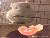 江苏智库贸易有限公司