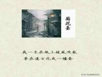江苏智库贸易有限公司