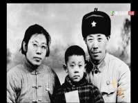 江苏智库贸易有限公司