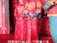江苏智库贸易有限公司
