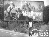 江苏智库贸易有限公司