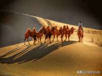 江苏智库贸易有限公司
