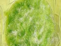 江苏智库贸易有限公司