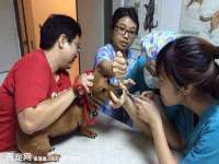 江苏智库贸易有限公司