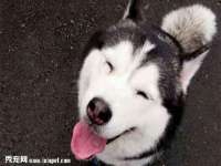 江苏智库贸易有限公司