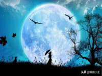 江苏智库贸易有限公司