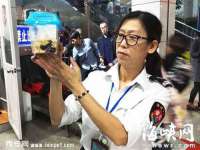 江苏智库贸易有限公司