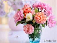 江苏智库贸易有限公司
