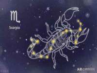 江苏智库贸易有限公司