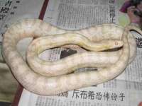 江苏智库贸易有限公司