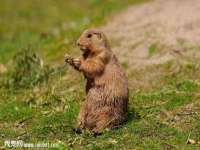 江苏智库贸易有限公司